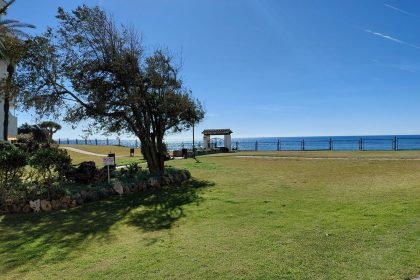 a2e57dba4b2a48e7cba61ea5f44b1265 - 38