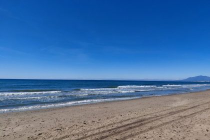 a2e57dba4b2a48e7cba61ea5f44b1265 - 5