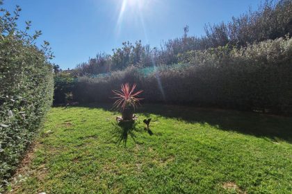 a32d292e7740444bfdb30a4916d9809b - 18