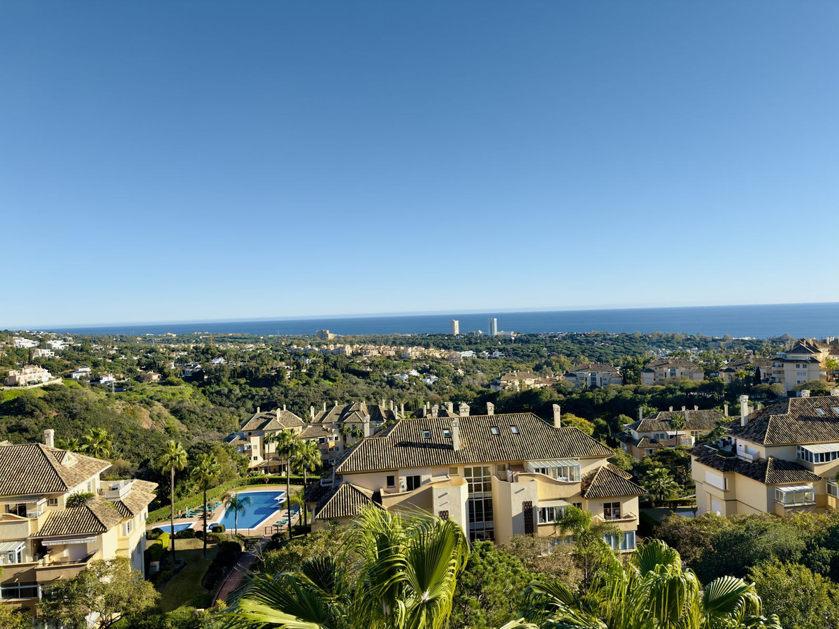 a337baedc753cd829c49a83355dd3239 - 26