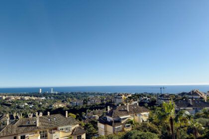 a337baedc753cd829c49a83355dd3239 - 29