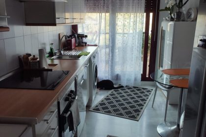 a42b763c2e21b61cfbe7dbe1dd83d2d0 - 10