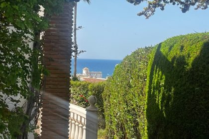 a6a72f847c282d3043fe5c77964cedad - 12