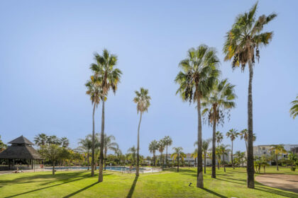 a7e8b0626b5ea2df321c66d464559022 - 35