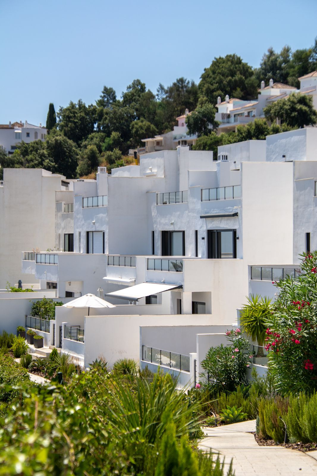 a809cbe479ef2e9ddfbb3c881a600c58 - 33