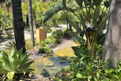 a9d111ebec21c34c0d034552d8e62e63 - 16