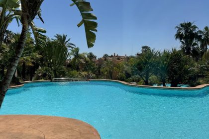 a9d111ebec21c34c0d034552d8e62e63 - 19