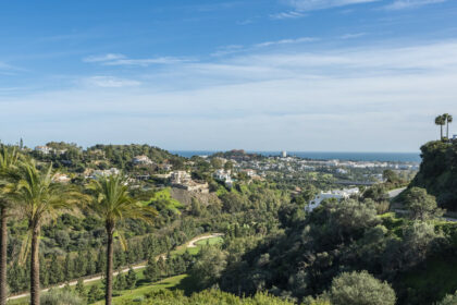 a9f7d13b898cceda4baca6e5d4c8b8bc - 29