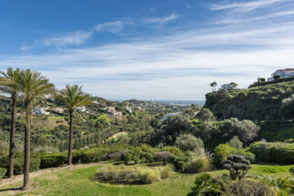 a9f7d13b898cceda4baca6e5d4c8b8bc - 30