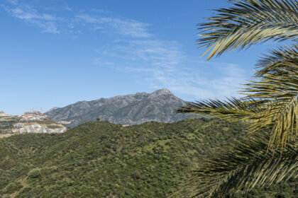 a9f7d13b898cceda4baca6e5d4c8b8bc - 31