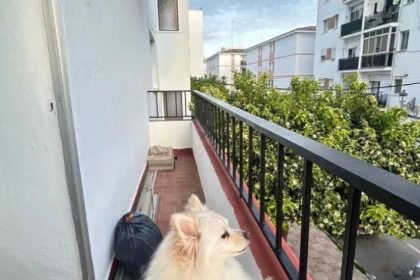 aaaf97447e740e430c492267006fc327 - 9