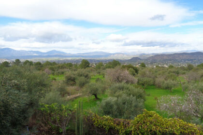 ab02e07b25b7c23038dc2f93016ca234 - 149