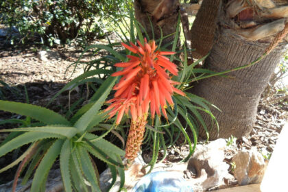 ab02e07b25b7c23038dc2f93016ca234 - 166