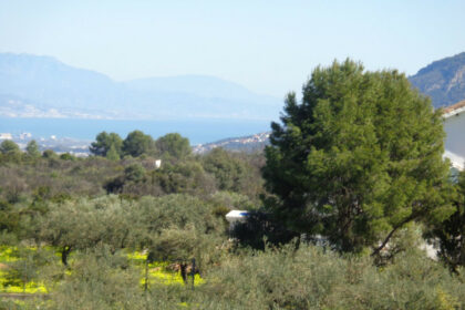 ab02e07b25b7c23038dc2f93016ca234 - 178