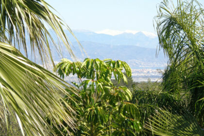 ab02e07b25b7c23038dc2f93016ca234 - 187