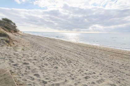 ab4b0b53a945d11ed4037a9910c2da65 - 19