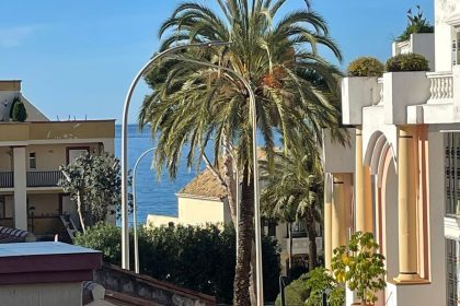 ab4b0b53a945d11ed4037a9910c2da65 - 26