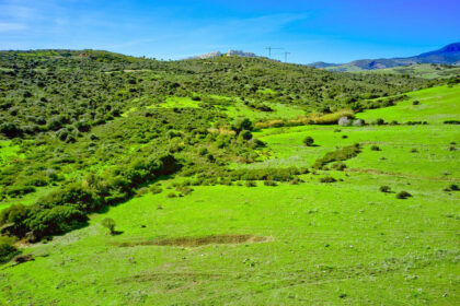 ac0b0031eeae0cb60445c5223054dcb9 - 19