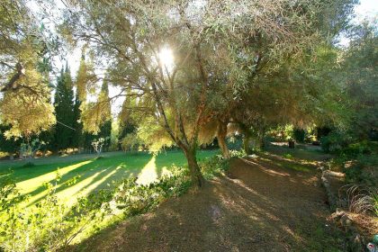 ac2b7dcb335bcac19557ef2872327eda - 1