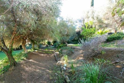 ac2b7dcb335bcac19557ef2872327eda - 2