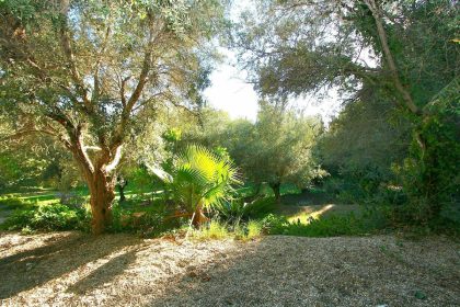 ac2b7dcb335bcac19557ef2872327eda - 5