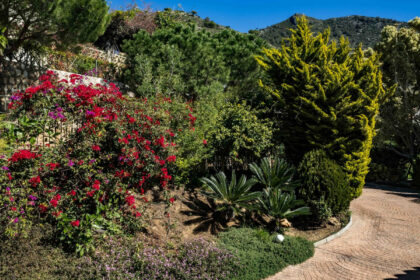 ac7687c1aefb1e33e00708699f82f88e - 24