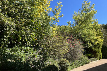 ac7687c1aefb1e33e00708699f82f88e - 57