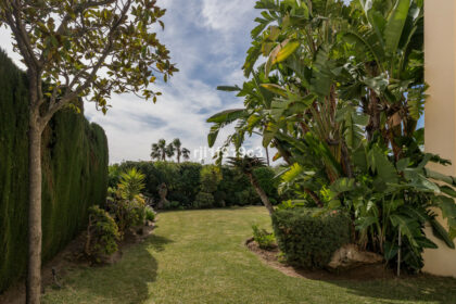 acccc151020e7c764eeb6e09dcacfb79 - 26