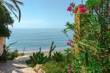 ada3c074ef1245528a1ab69bd8d90505 - 11