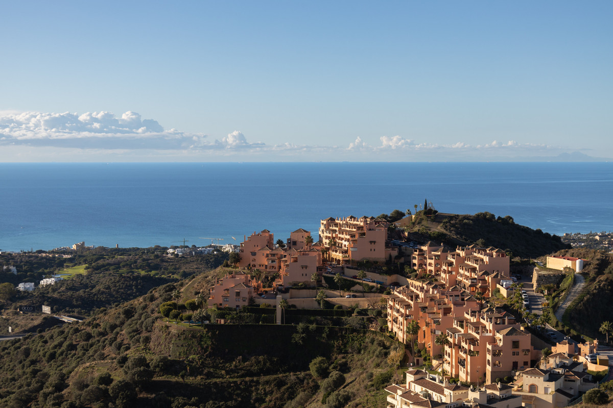 ae43001149996b992e49192a82b67ab5 - 29