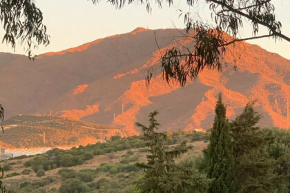 aeaf2c77b46300c0a9c98907ce14c9f6 - 13