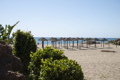 b1642bae9479fafa935d6b0337f3c138 - 37