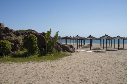 b1642bae9479fafa935d6b0337f3c138 - 48