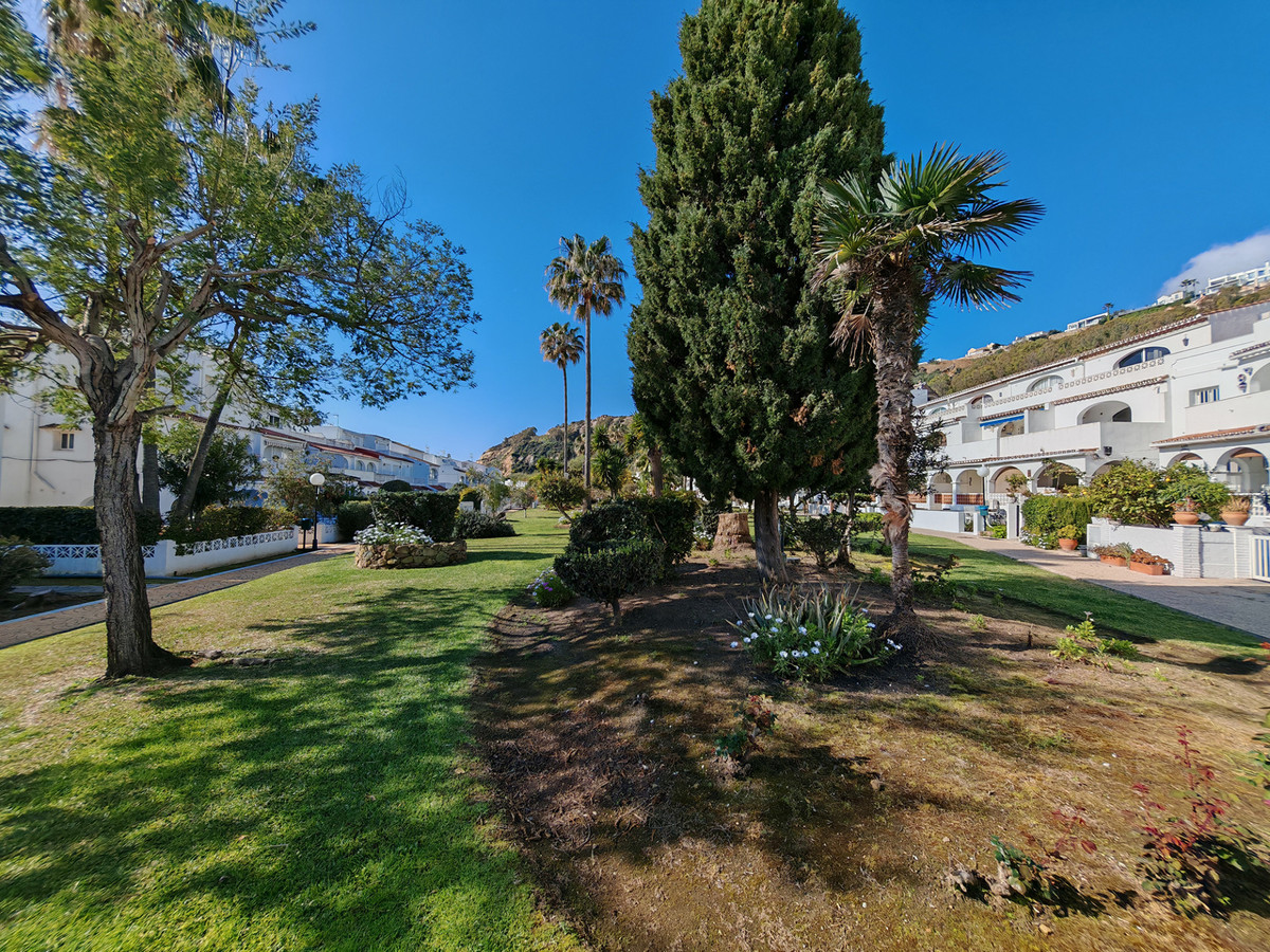 b25d8c5e55e14b5ba567f6c77cc7efa3 - 32