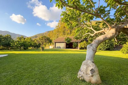 b2ebf3e25849a39289301e0c1f6733b8 - 36