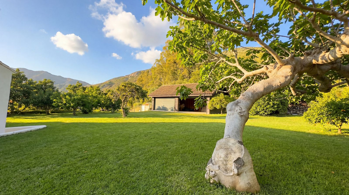 b2ebf3e25849a39289301e0c1f6733b8 - 36