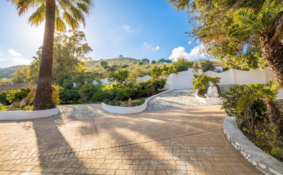 b2ebf3e25849a39289301e0c1f6733b8 - 38