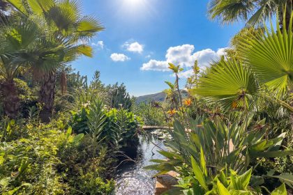 b2ebf3e25849a39289301e0c1f6733b8 - 43