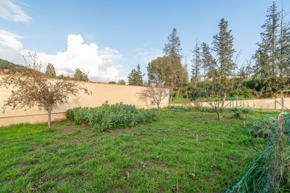 b33da6f3a79383c34e15bf4bf2632fdc - 47