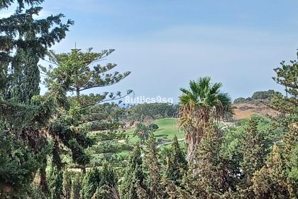 b40002e16da63742863b4a1efdc71134 - 1