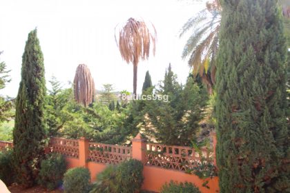 b40002e16da63742863b4a1efdc71134 - 24