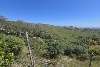 b4fa4776d16bb4d0f49dd53f712b5cc1 - 12