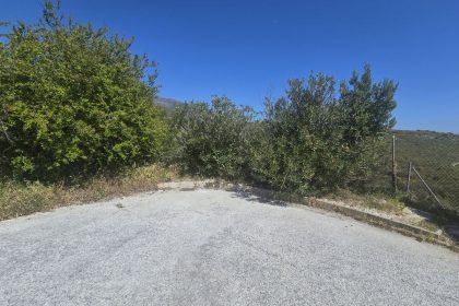 b4fa4776d16bb4d0f49dd53f712b5cc1 - 14