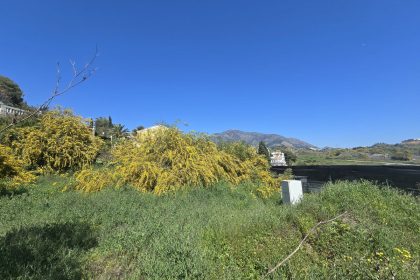 b4fa4776d16bb4d0f49dd53f712b5cc1 - 2