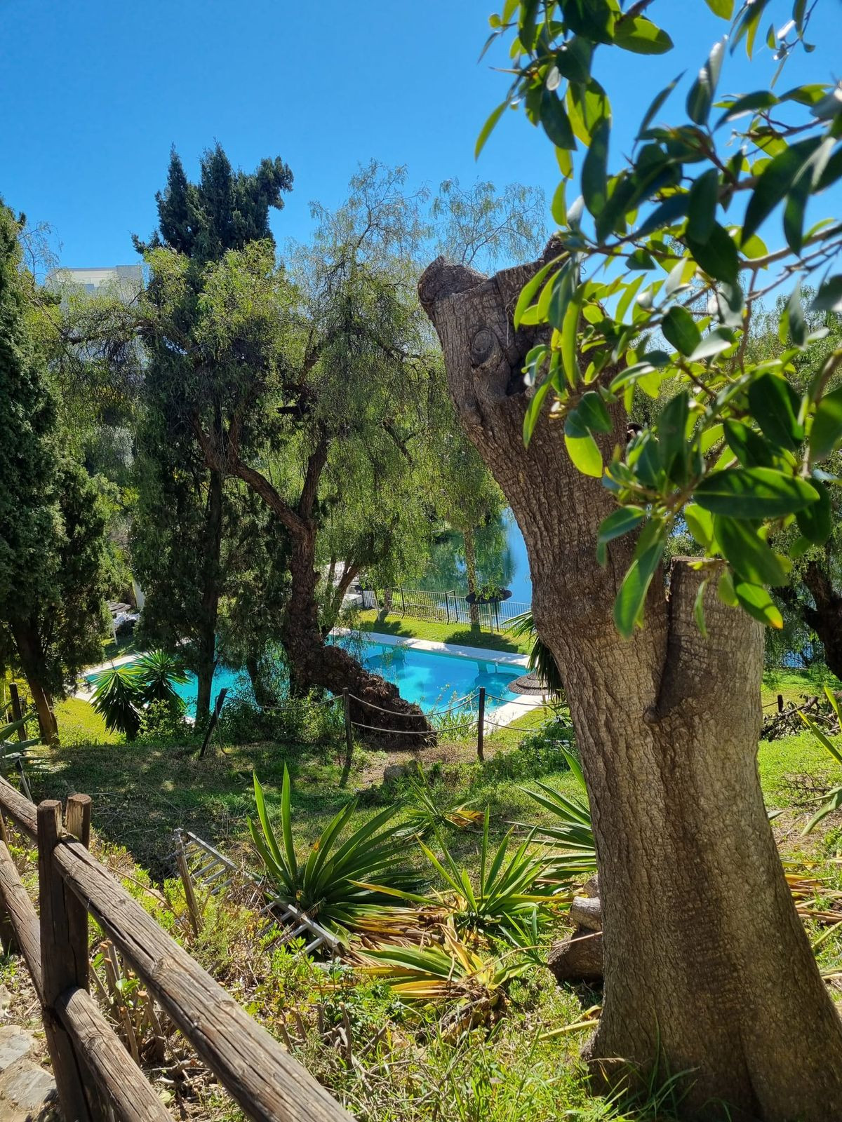 b52eea2e980d7669b7d5eb7b024df032 - 16