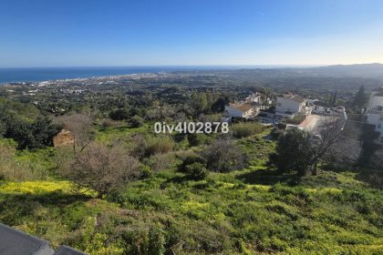 b742315f5f2c1bb6a803c87b26e9510c - 12