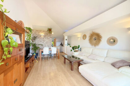 b831c3e6519d6b4f438f6af8cfc0fa32 - 12