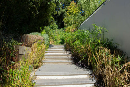 b86bfcc0770866763764349937ec0105 - 75