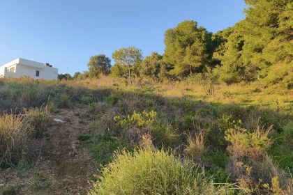 b8ac3e769d3fdbfe733e72b73b2ad28b - 11