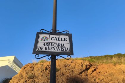 b8ac3e769d3fdbfe733e72b73b2ad28b - 7